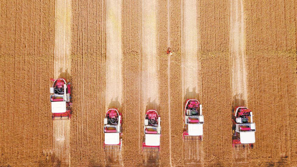 中央召開農村工作會議 研究部署明年「三農」工作