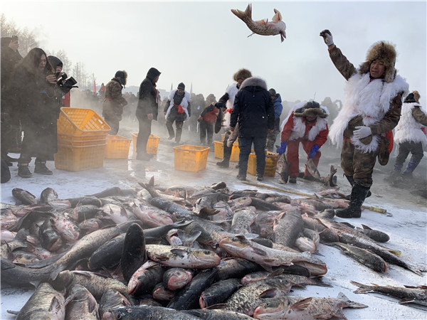五大连池冬捕节启幕 头鱼拍卖108880元