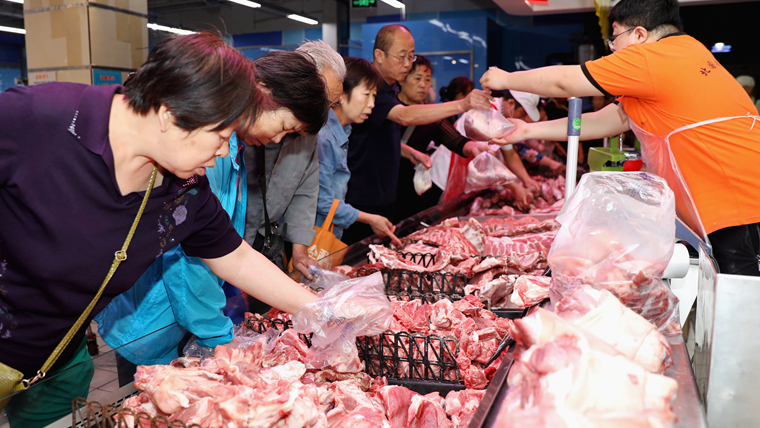 【商报专稿】豬年豬價不同凡響 飛天豬料明年降落