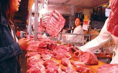 增活豬供應 減市民負擔