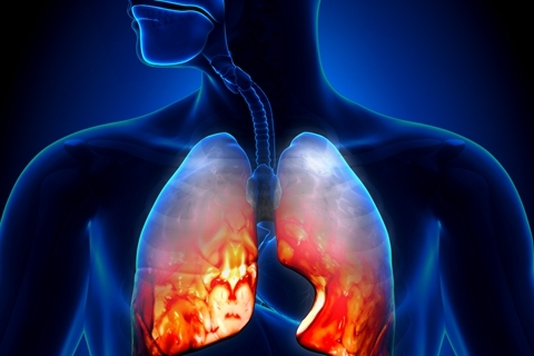 武汉通报肺炎疫情：发现27例病例 未发现明显人传人现象