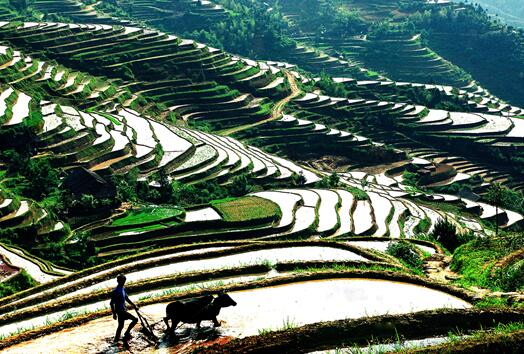 中國名片 湖南故事連載(2) 最美侗鄉懷化