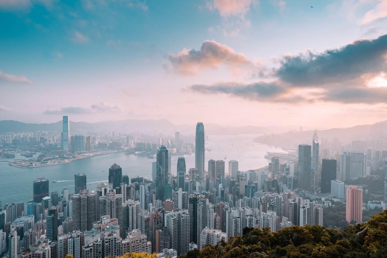 揚港所長助發展高端製造業