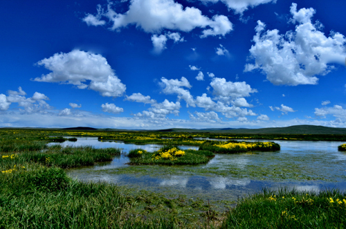 青海新增7处国家湿地公园 