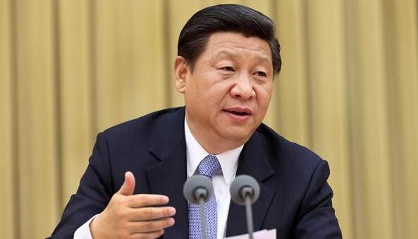 习近平对审计工作作出重要指示