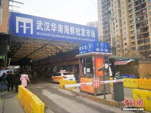 世卫组织就肺炎事件发声：不建议对中国实施旅行贸易限制