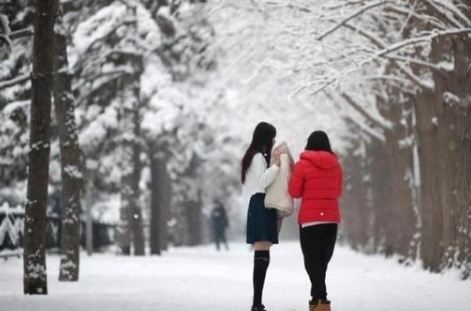 中国冰雪旅游达2.24亿人次