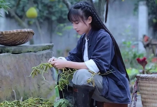 李子柒的人设，集中了这个流量时代的全部痛点