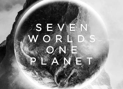 网生纪录片崛起的背后