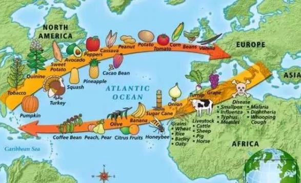 没有烤地瓜的中国人怎么活啊