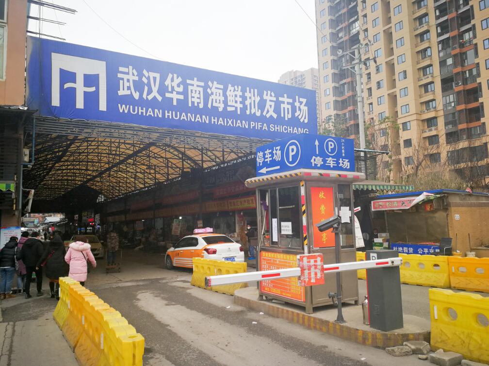 世衛指武漢不明肺炎未擴散 不建議實施旅遊或貿易限制