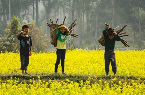 中国的大爷大妈们，在天台上活成了李子柒