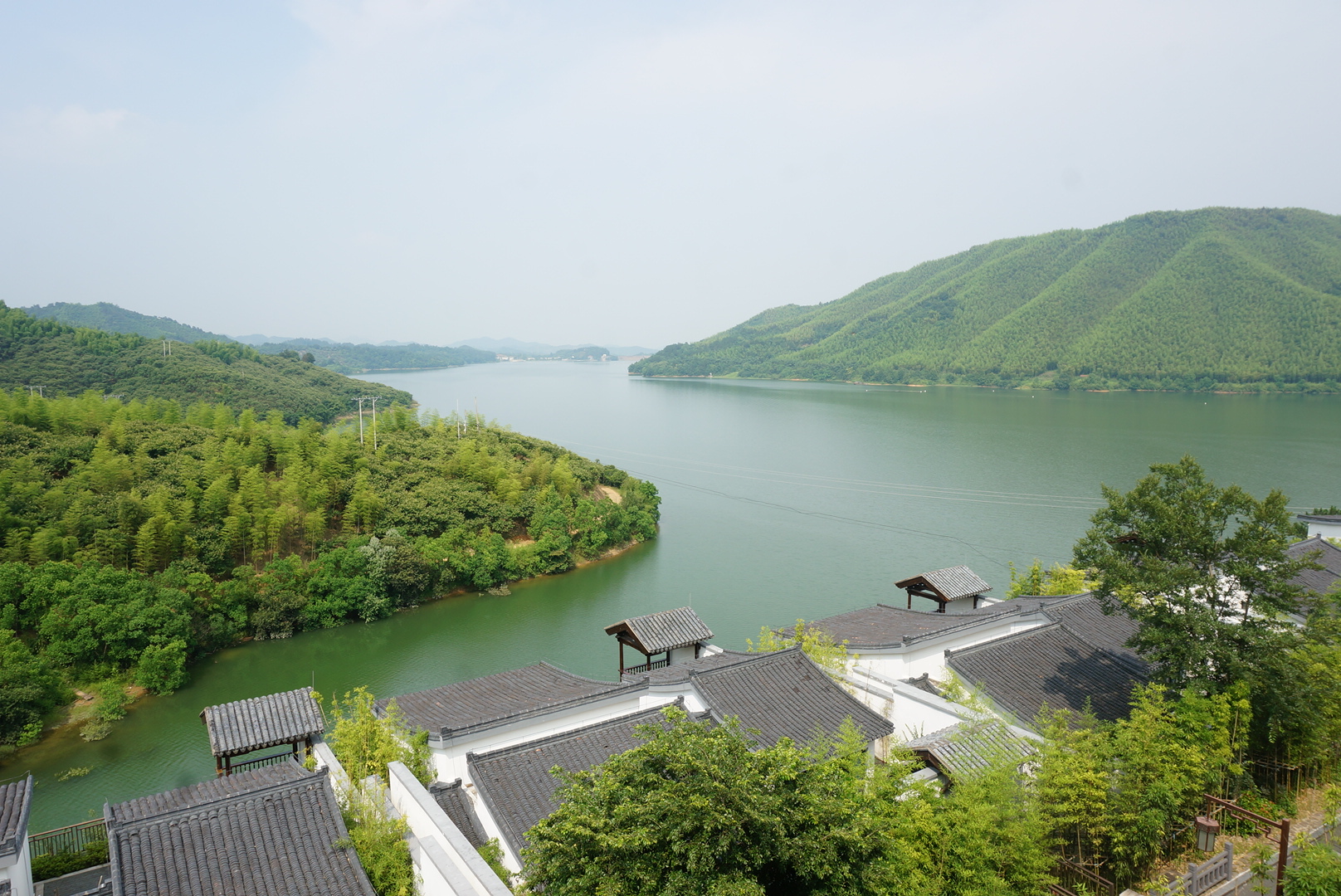 靜謐竹海仙境一遊