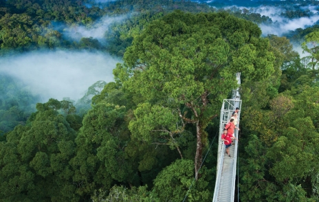 2020“中国－文莱旅游年”开幕，去文莱怎么玩？