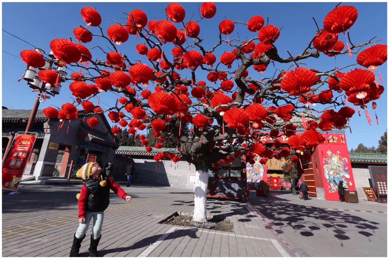 携程：预计将有3000万人次选择独自出游过年