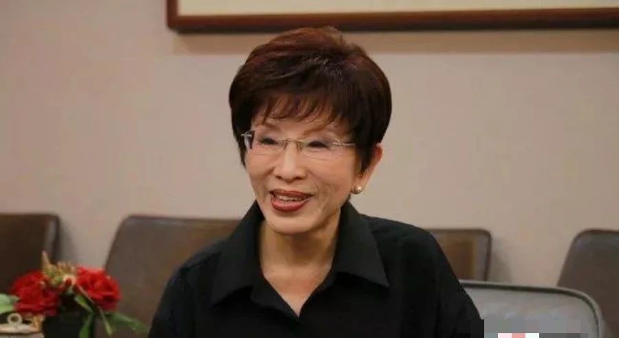 洪秀柱：国民党若改名去“中国” 我就来组中国国民党