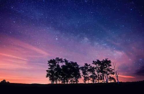 【寸暉集】失去