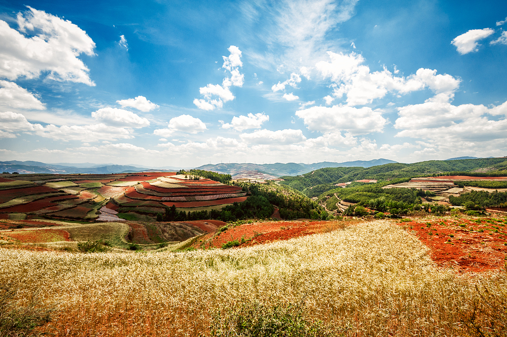 待疫情过去 去这10大春城感受明媚春光