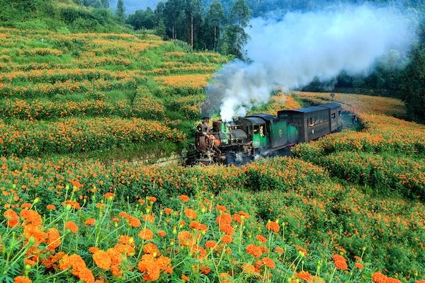 嘉阳小火车，中国唯一活着的寸轨蒸汽火车