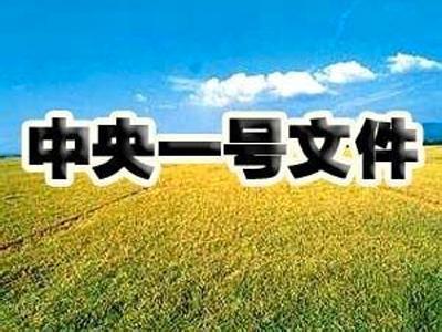 中央一号文件公布！划重点 这十个方面值得关注