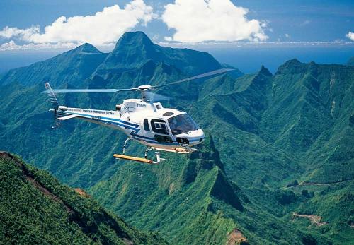 旅游全产业链受创 “春天很快到来”