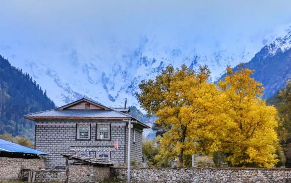 林芝劝返41个旅游团？我们疫情后再见吧！