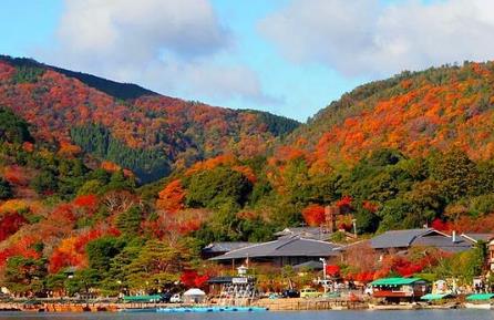 疫情下的日本旅游业：“我们意识到我们太依赖中国顾客了” 