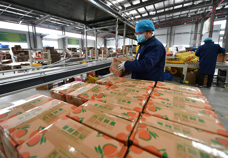 【疫情沖擊下的危與機】病毒肆虐 夾縫求生 線上及醫療疫中有機