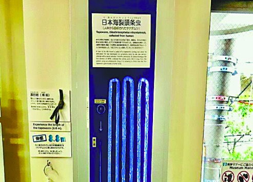 东京寄生虫博物馆，让人汗毛直立