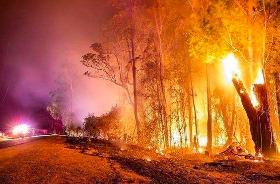 澳洲山火,南极20°,珠峰长草,人类的气候赌局输了吗？