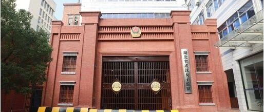 黃某英離漢入京細節披露 近20人被問責