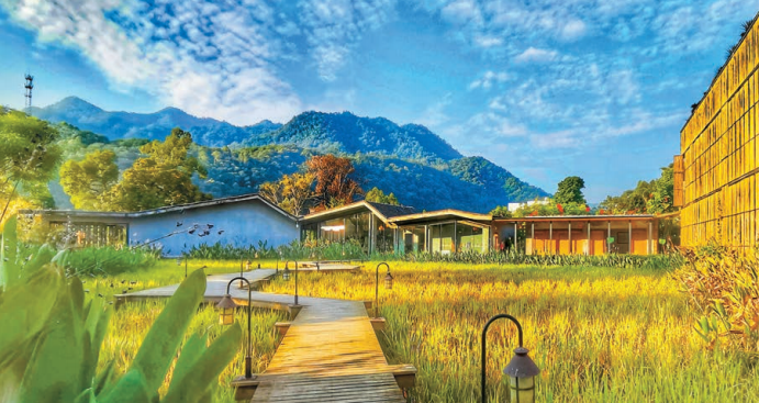 【疫情衝擊下的危與機】疫情將催生旅業新格局