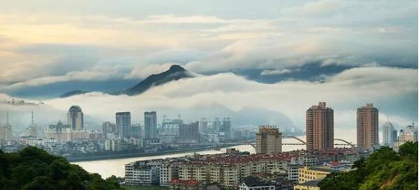 6名归国华侨隐瞒病情，被立案调查