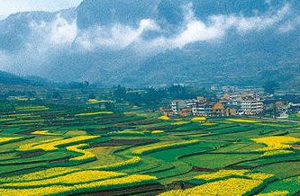 农业农村部：全面推开农村集体产权制度改革试点