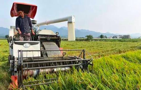 國務院下放農轉建用地審批權 首批8省試點 期限1年