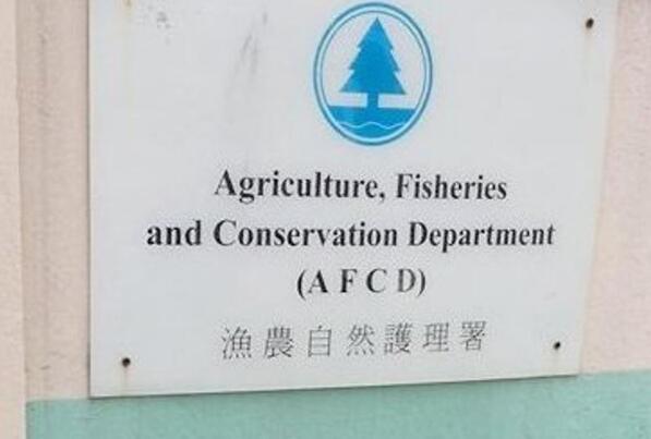 本港第二宗 德國狼狗确认感染