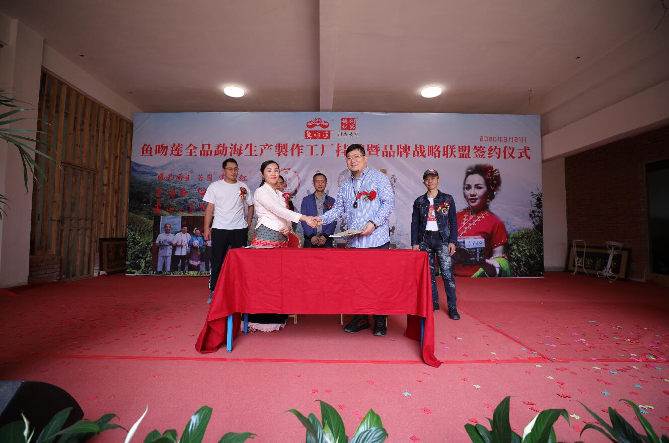 港企鱼吻莲茶叶生产基地扎根勐海