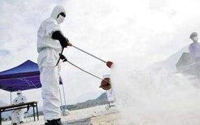 西班牙确诊28572宗 政府拟延长国家紧急状态