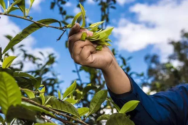 【港人港企战疫】滇港企復工復產 推線上營銷破局