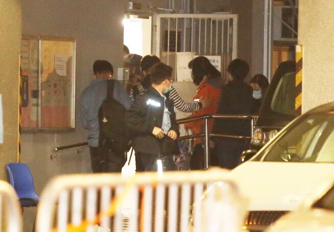 民主黨區議員鄭麗琼涉「煽動意圖罪」昨晚被捕 今日下午獲准保釋