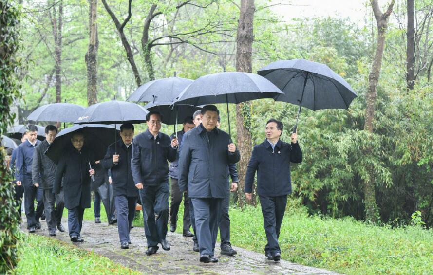 习近平考察杭州湿地保护利用和城市治理情况