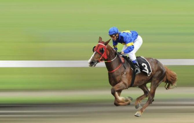 海南：目前没有《赛马运动发展规划》出台的时间表