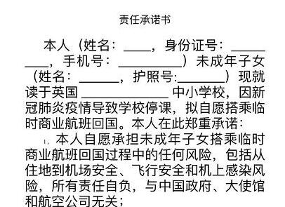 中国驻英大使馆将组织小留学生包机回国