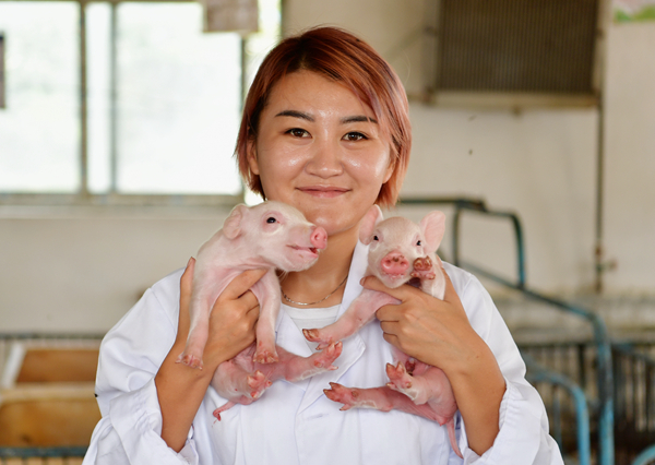 投放儲備凍肉效果有限 豬價難離高位 復常供給仍需時日