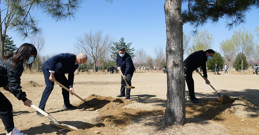习近平参加首都义务植树活动