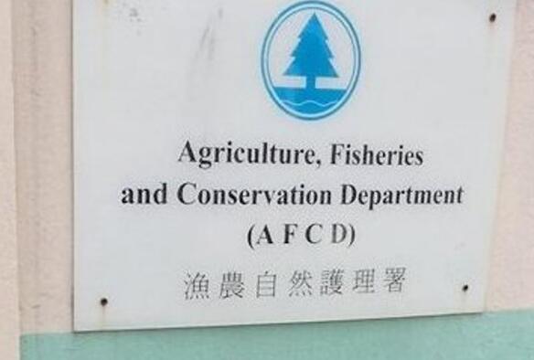 累計52隻寵物在港珠澳大橋動物中心隔離