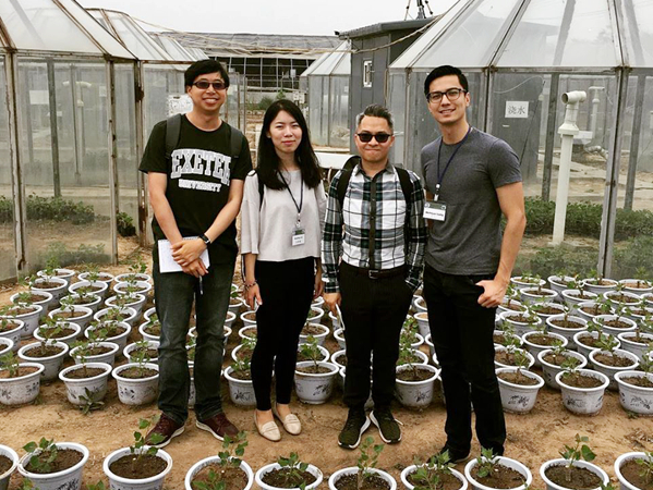 中大設「臭氧園」 證明污染影響植物生長