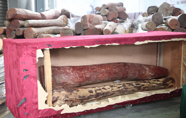 海關破「木中有木」走私案 檢值555萬紫檀木