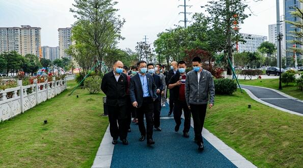 綠化品質提升「新橋模式」獲寶安全區推廣