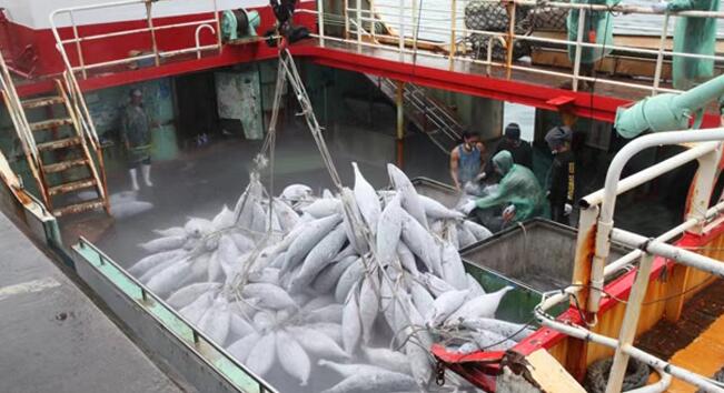 鹽田着力打造一體化冷鏈進口產業鏈